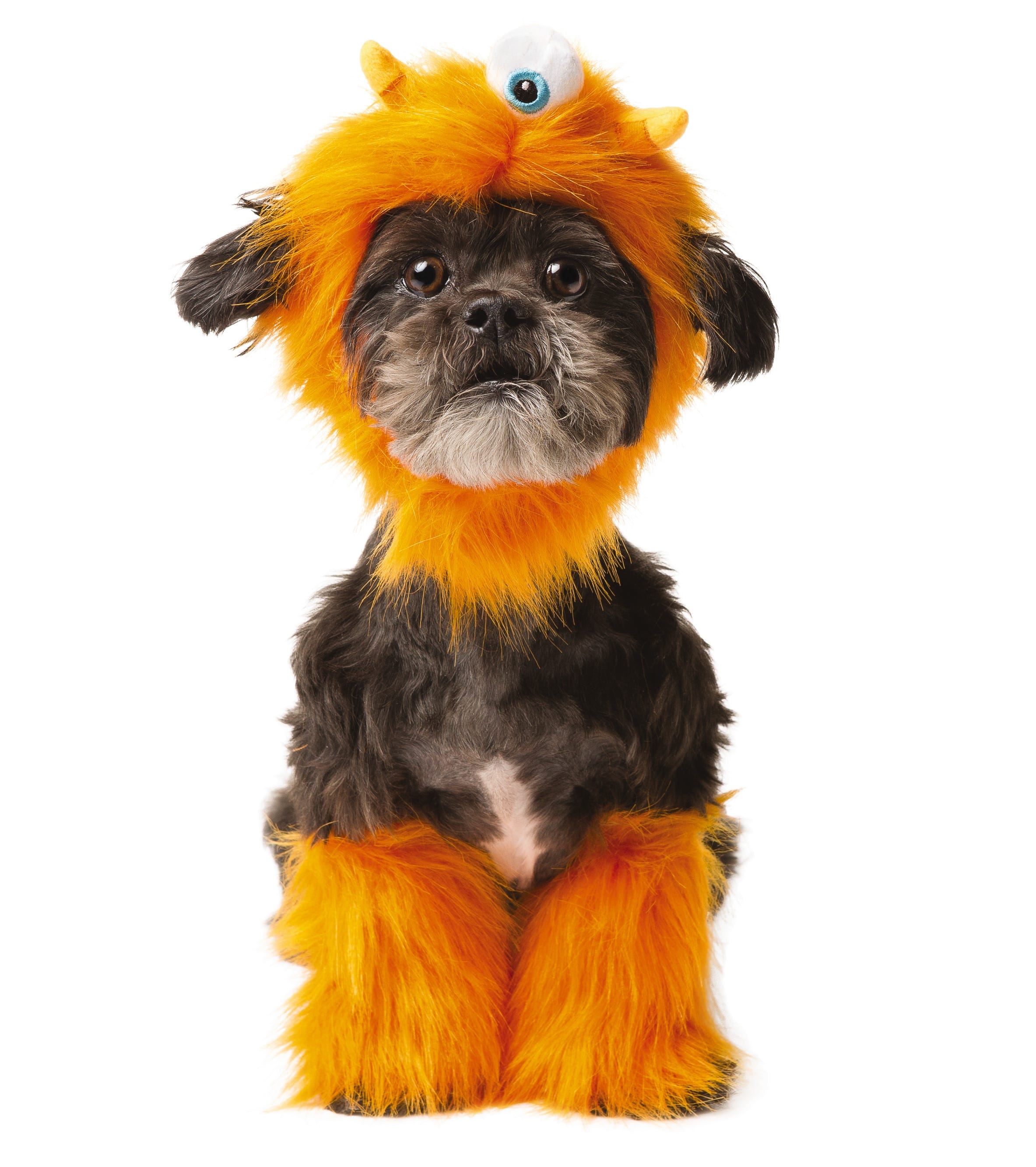 petsmart halloween cat